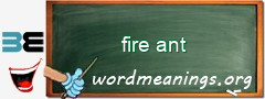 WordMeaning blackboard for fire ant